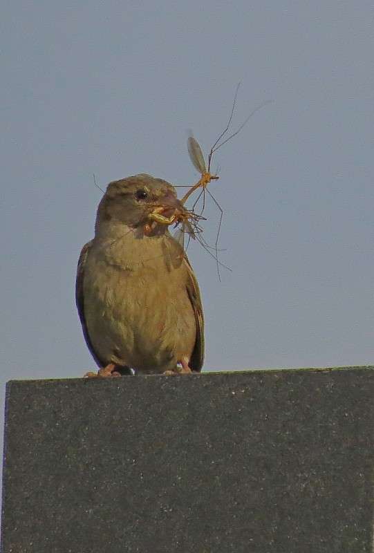 ... ����� �����  �� PhotoGeek.ru #�������� ��� #����� ��� ��� ���������