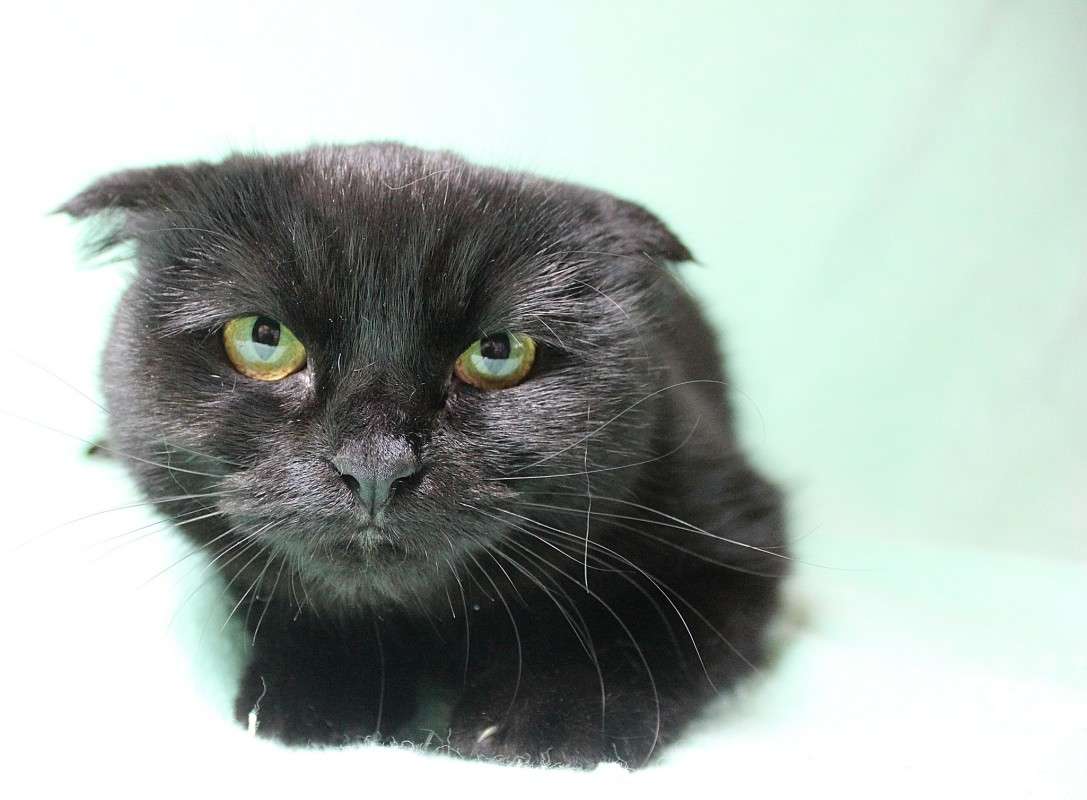 ����� ������� 1 ����� �����  �� PhotoGeek.ru #�������� ��� #������� #�������� #�������� ���