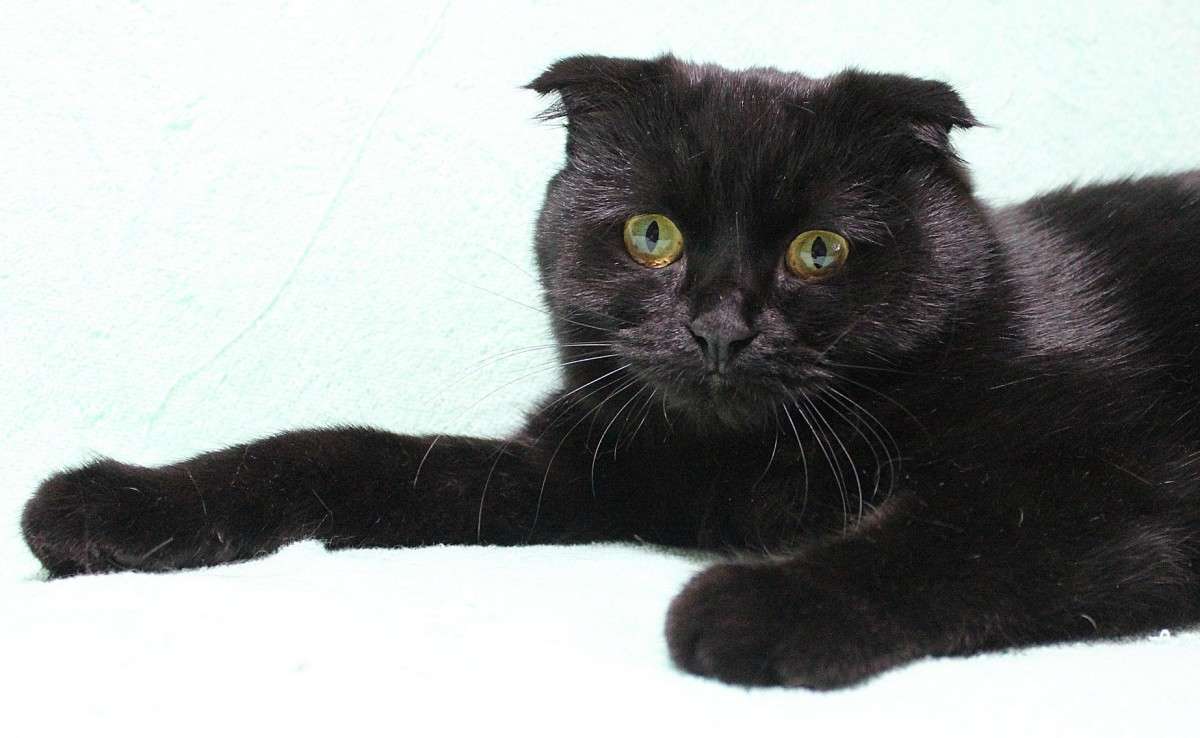 ����� 2 ����� �����  �� PhotoGeek.ru #�������� ��� #������� #�������� ���