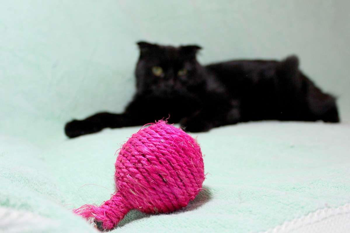 ������� �� ���� �����))) ����� �����  �� PhotoGeek.ru #�������� ��� #�������