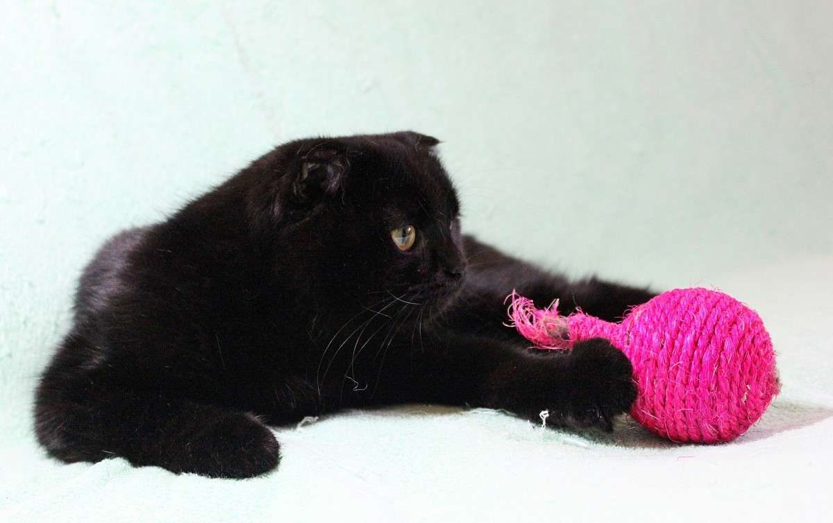 ����� 3 ����� �����  �� PhotoGeek.ru #�������� ��� #������� #�������� ���