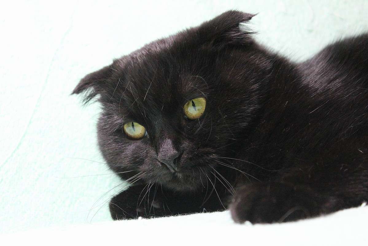 ����� 4 ����� �����  �� PhotoGeek.ru #�������� ��� #������� #�������� ���