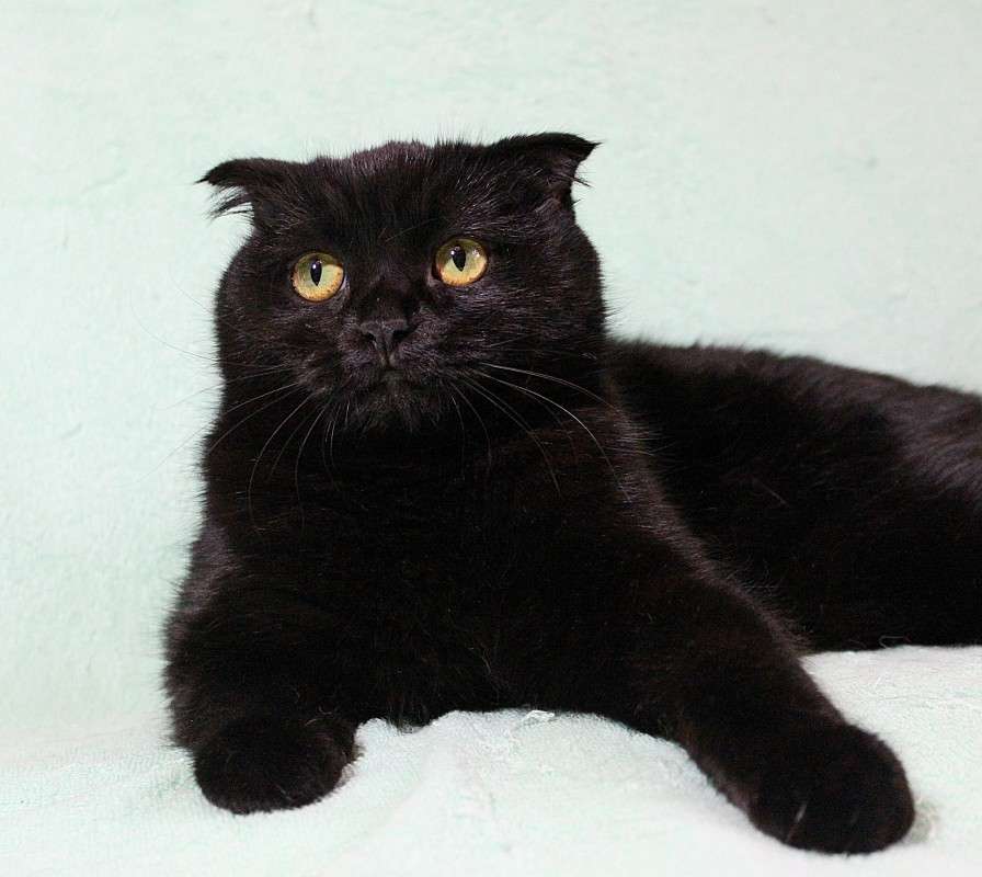 ... ����� �����  �� PhotoGeek.ru #�������� ��� #�������