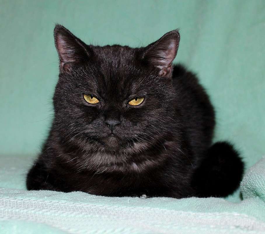 ... ����� �����  �� PhotoGeek.ru #�������� ��� #������� #�������� ���