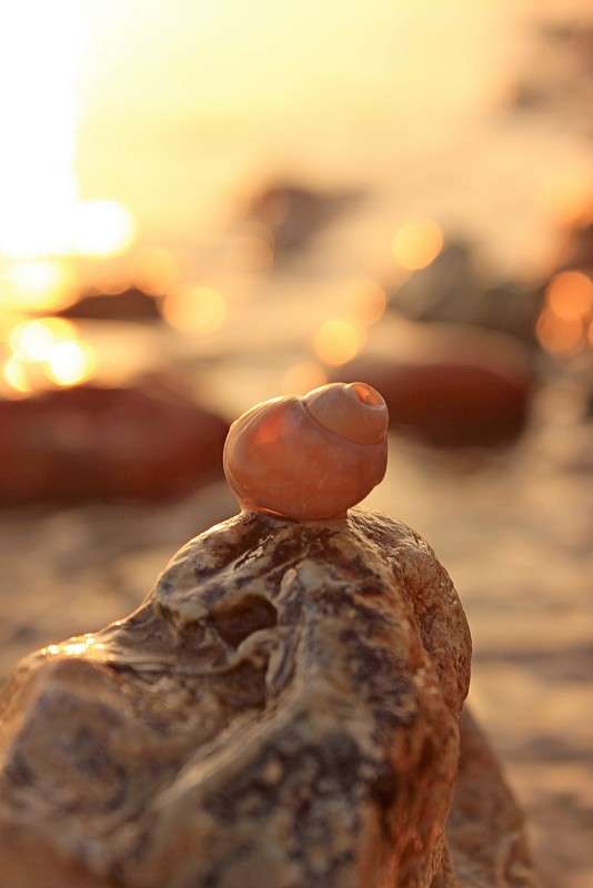 ��������  ������� ����� �����  �� PhotoGeek.ru #������ ��� ������� #��������� #����� ��������