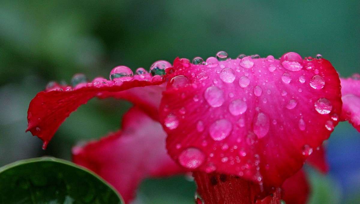 ... ����� �����  �� PhotoGeek.ru #����� #������ ��� ������� #����� ��������������