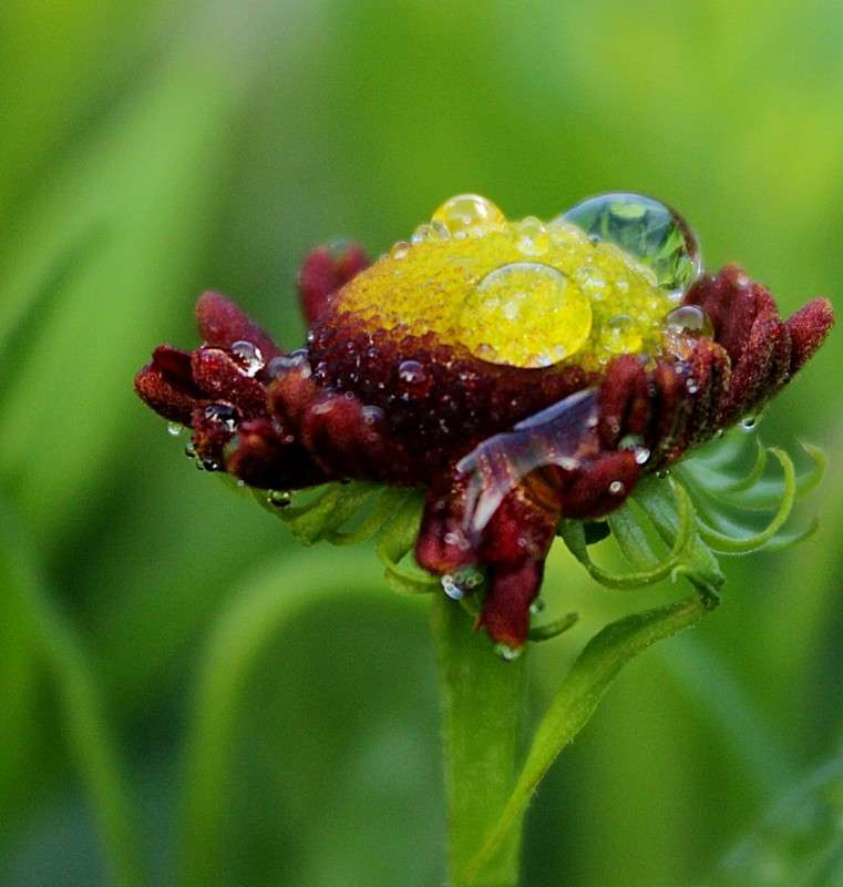 ����� ����� �����  �� PhotoGeek.ru #����� #������ ��� ������� #����� ��������������