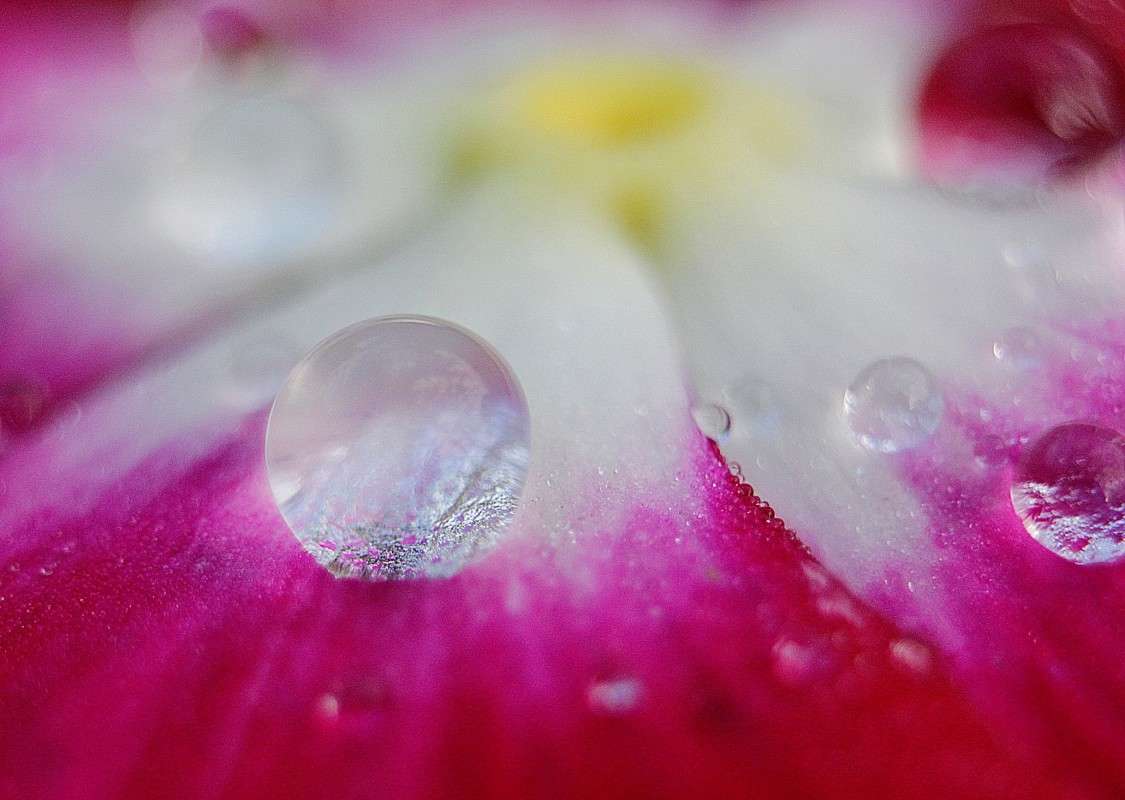 ���� ����� ����� �����  �� PhotoGeek.ru #����� #������ ��� ������� #����� ��������������