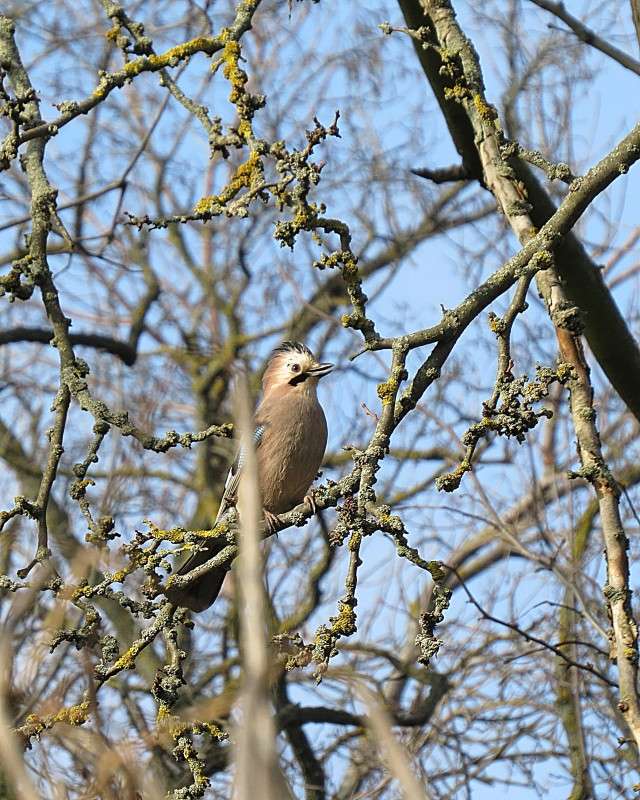 ... ����� �����  �� PhotoGeek.ru #�������� ��� #����� ��� ��� ���������