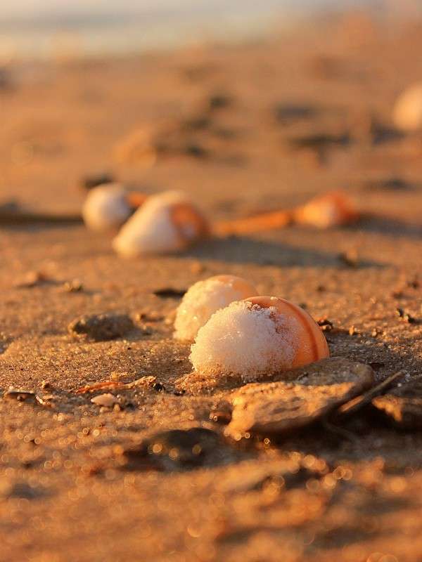 ... ����� �����  �� PhotoGeek.ru #������ ��� �������