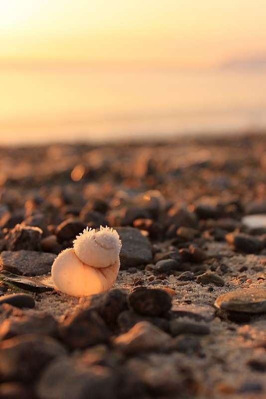 �� ������� ����� �����  �� PhotoGeek.ru #������ ��� �������