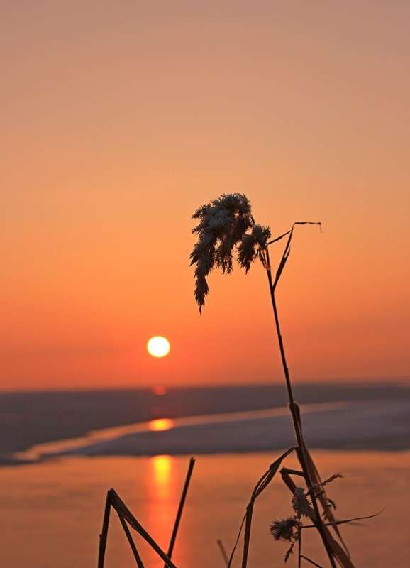 ����� ���� ����� �����  �� PhotoGeek.ru #������ ��� �������