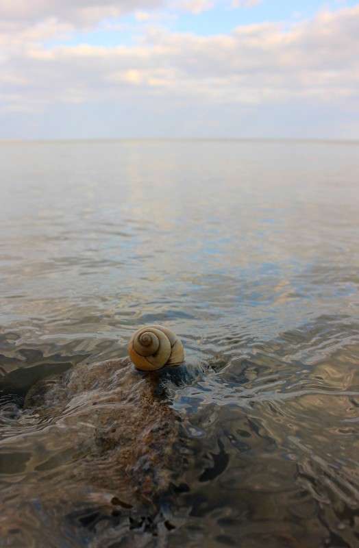 ��������� ����� �����  �� PhotoGeek.ru #������ ��� �������