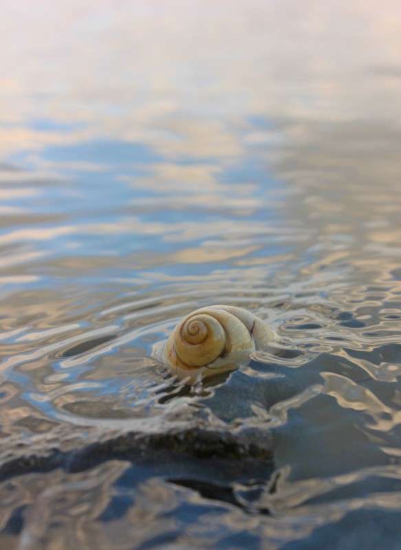 ��������� ����� ����� �����  �� PhotoGeek.ru #������ ��� �������