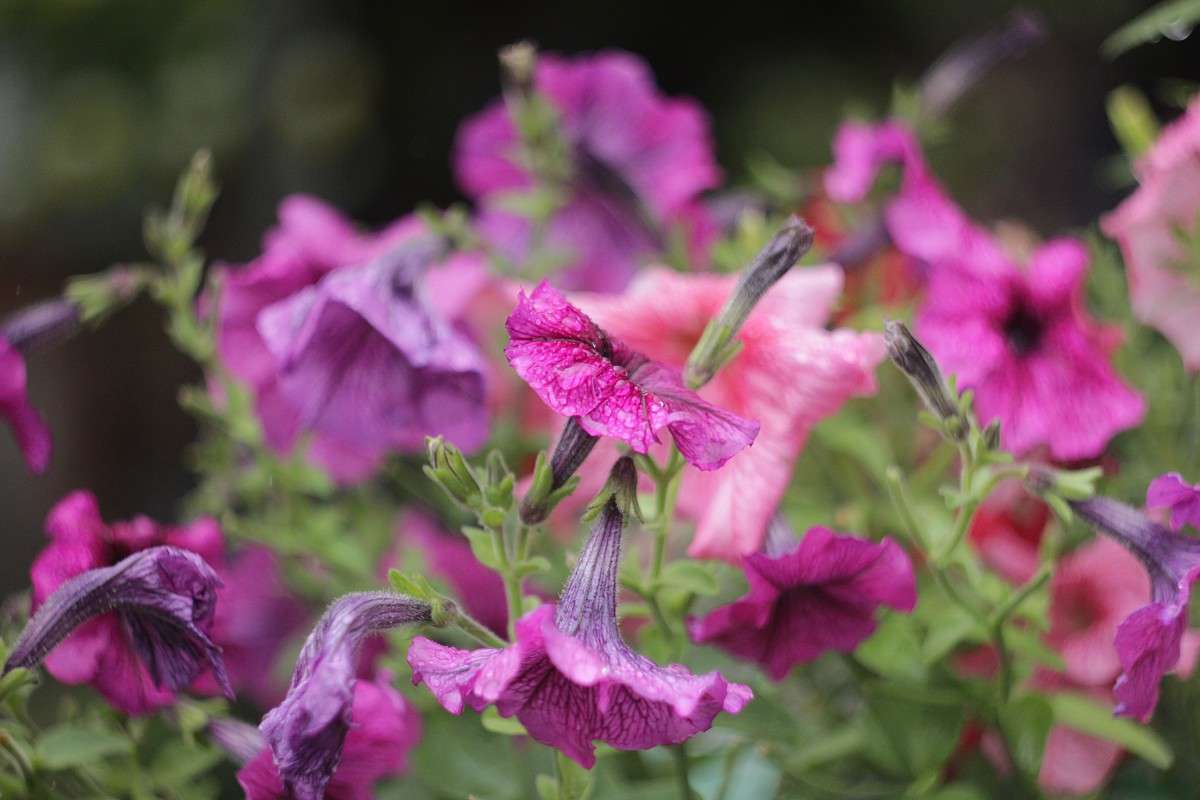 ������� ����� �����  �� PhotoGeek.ru #������ ��� �������