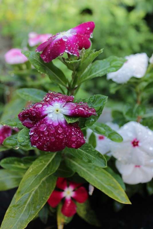 ... ����� �����  �� PhotoGeek.ru #������ ��� ������� #����� ��������������