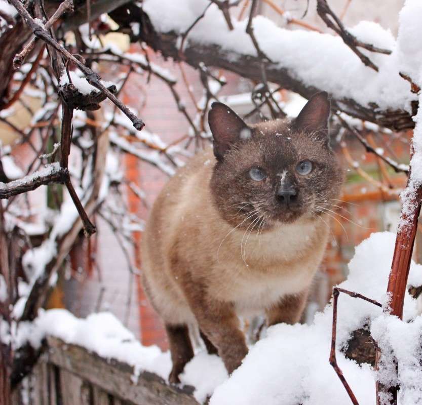 ��� ��� �����) ����� �����  �� PhotoGeek.ru #�������� ��� #�������� ���