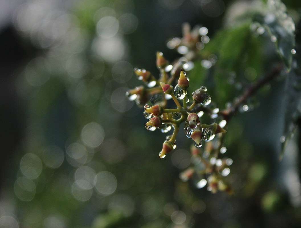 ����� �� ��������� ����� �����  �� PhotoGeek.ru #������ ��� ������� #����� ��������������