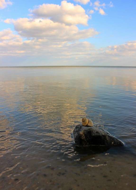 ��������� ������� ����� �����  �� PhotoGeek.ru #������ ��� �������