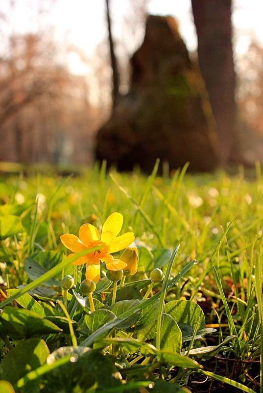 ����� ����� �����  �� PhotoGeek.ru #������ ��� �������