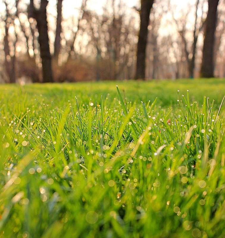 ������� ����� �����  �� PhotoGeek.ru #������ ��� �������