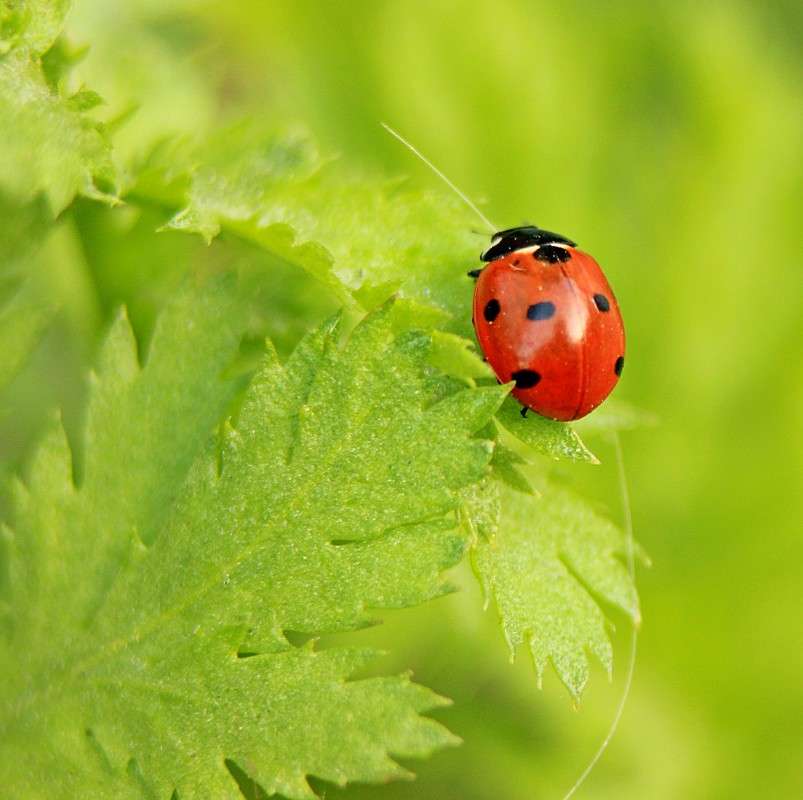 ������� ����� �����  �� PhotoGeek.ru #�������� ��� #������ ��� ������� #����� ��������������