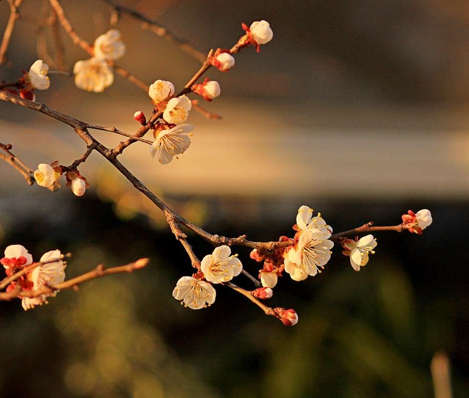 ������� ����� �����  �� PhotoGeek.ru #������ ��� �������