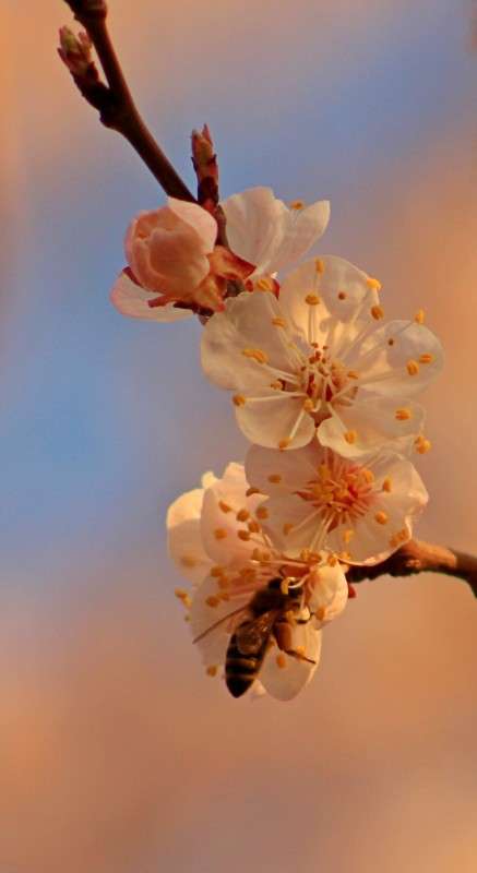 ... ����� �����  �� PhotoGeek.ru #�������� ��� #������ ��� ������� #����� ��� ��� ��������� #����� �������������� #����� ��������