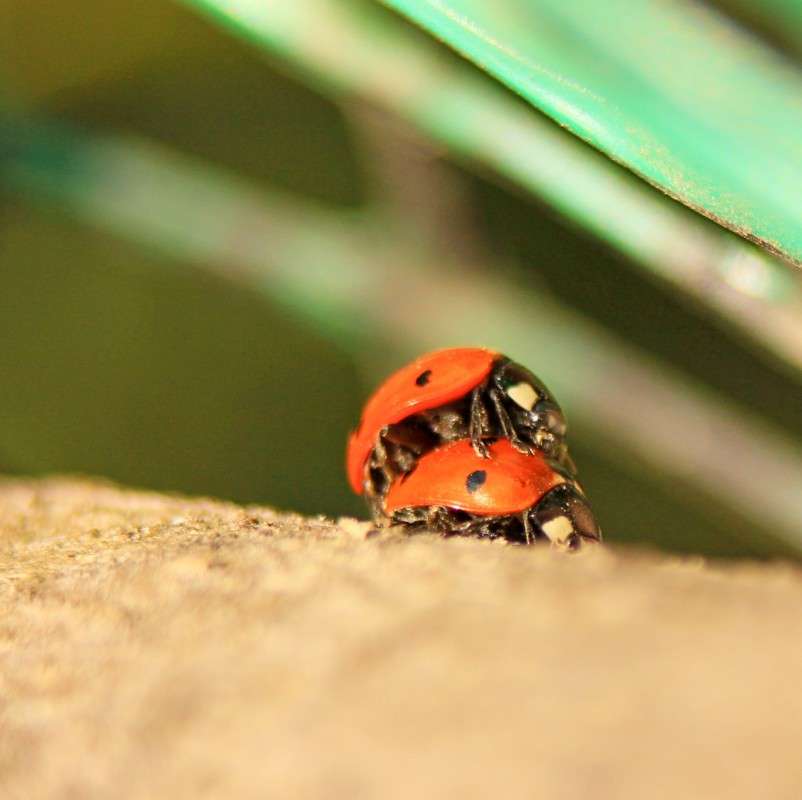 ������ � ���� ������ ����� �����  �� PhotoGeek.ru #�������� ��� #������ ��� ������� #����� ��� ��� ���������