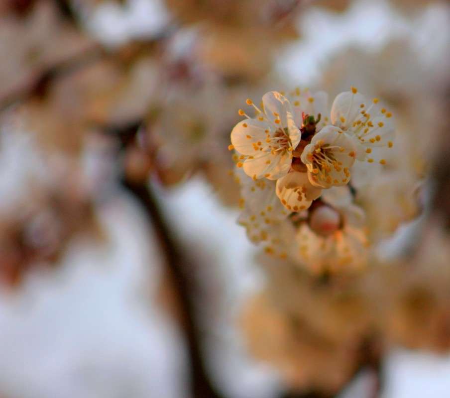 ��� ���� ������ ����� �����  �� PhotoGeek.ru #������ ��� ������� #����� ��������������