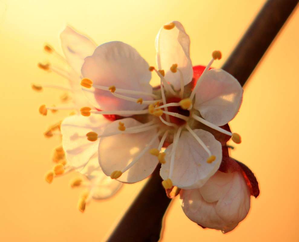 ������� � ������� ����� �����  �� PhotoGeek.ru #������ ��� ������� #����� ��������������