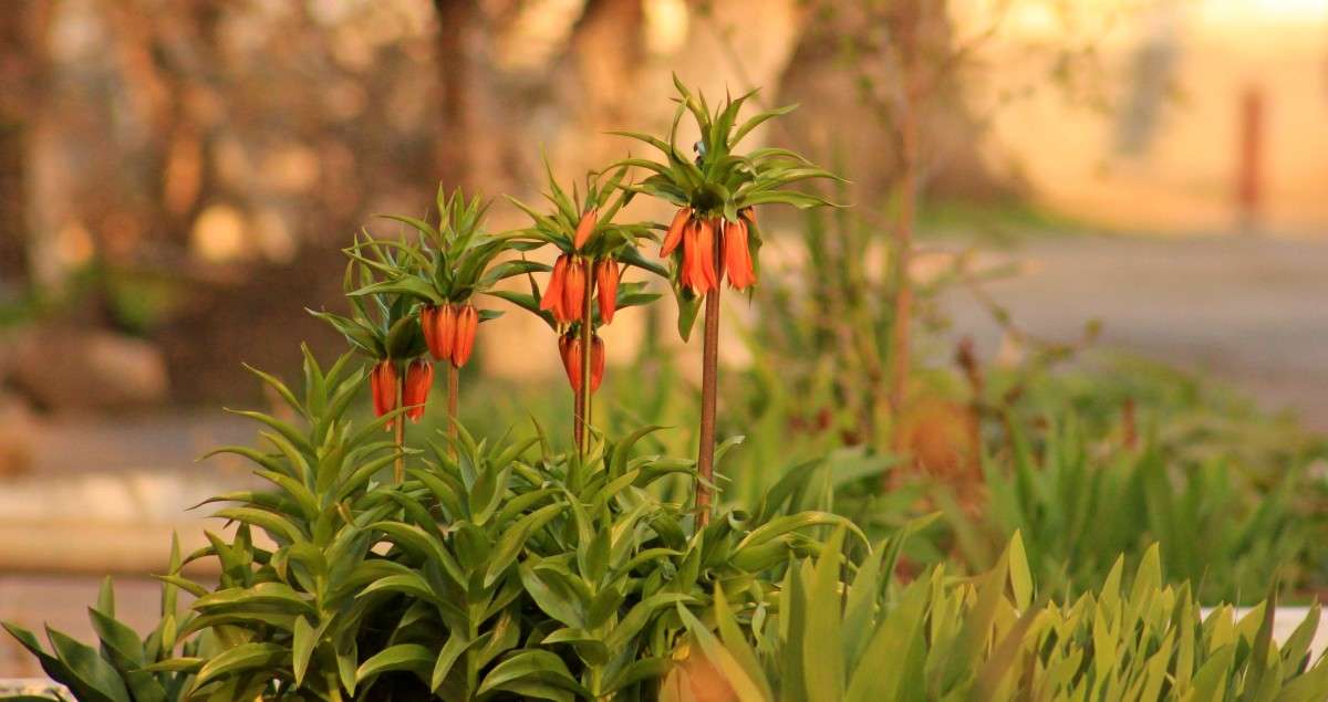 ������� ������ ����� �����  �� PhotoGeek.ru #������ ��� ������� #����� ��������������