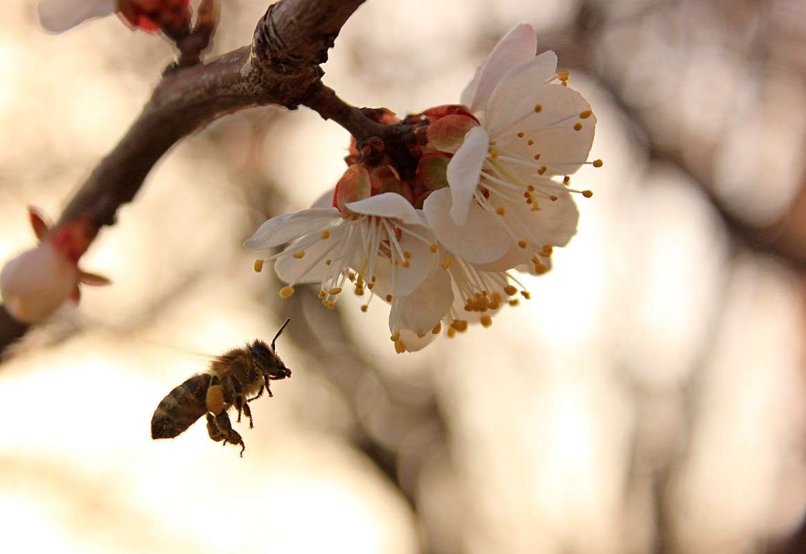 �� ����� ����� �����  �� PhotoGeek.ru #�������� ��� #������ ��� ������� #����� ��� ��� ��������� #����� ��������������