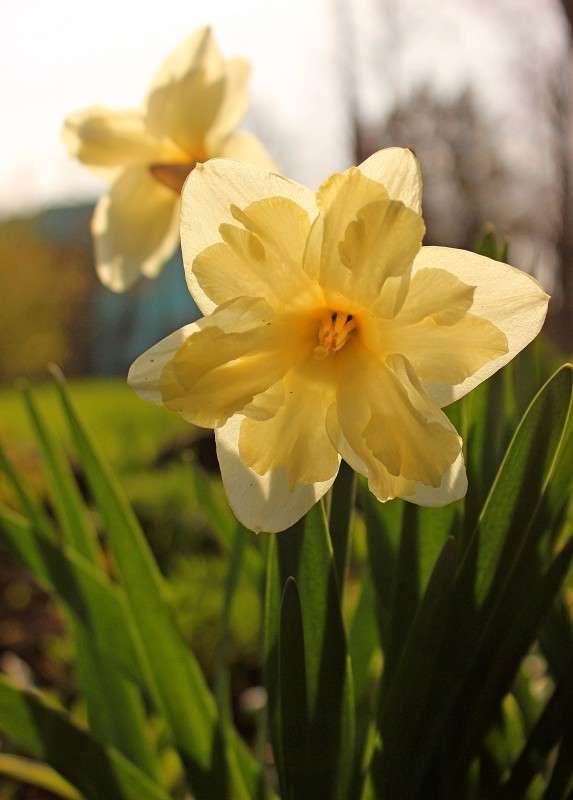 �� ������� ����� �����  �� PhotoGeek.ru #������ ��� ������� #����� ��������������