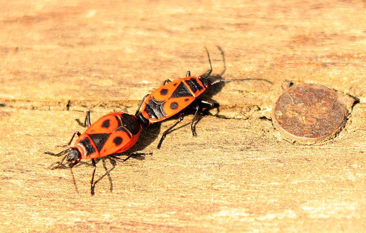 ..........����� �� 18)) ����� �����  �� PhotoGeek.ru #�������� ��� #����� ��� ��� ���������