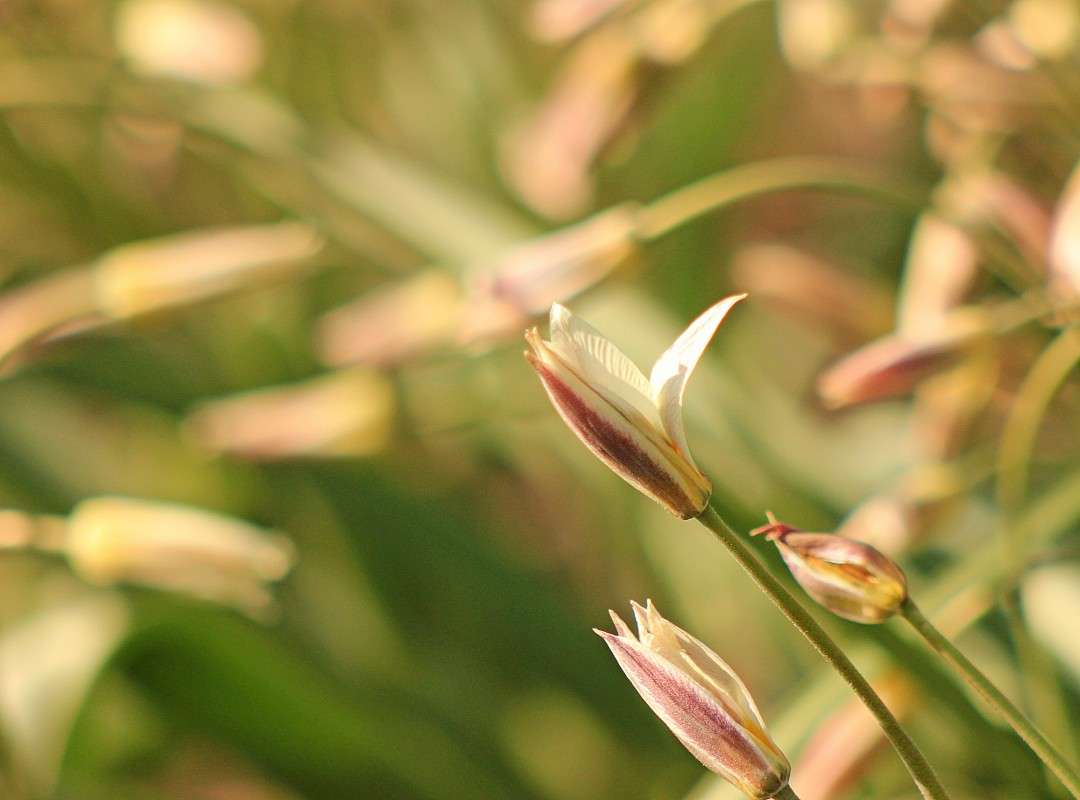 ... ����� �����  �� PhotoGeek.ru #������ ��� ������� #����� ��������������