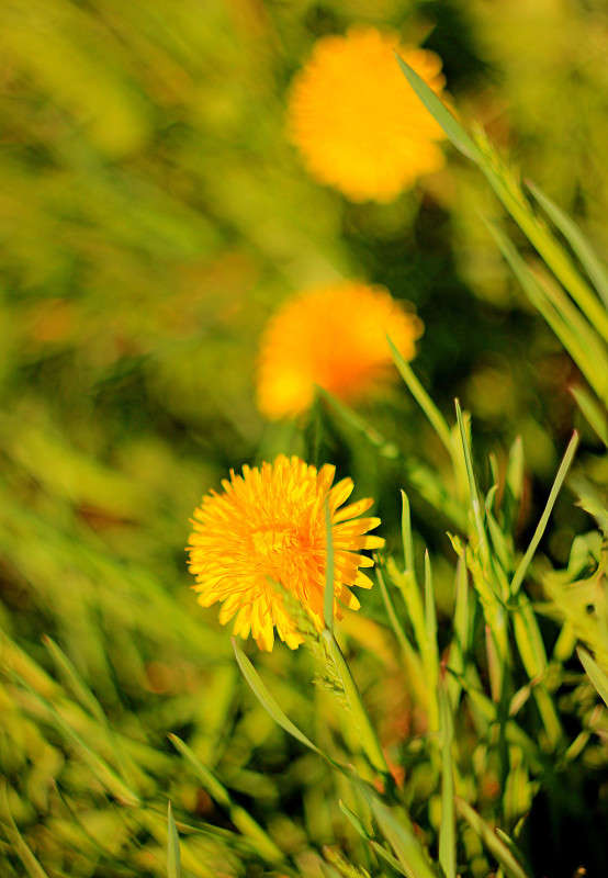 ������ ����� �����  �� PhotoGeek.ru #������ ��� ������� #����� ��������������