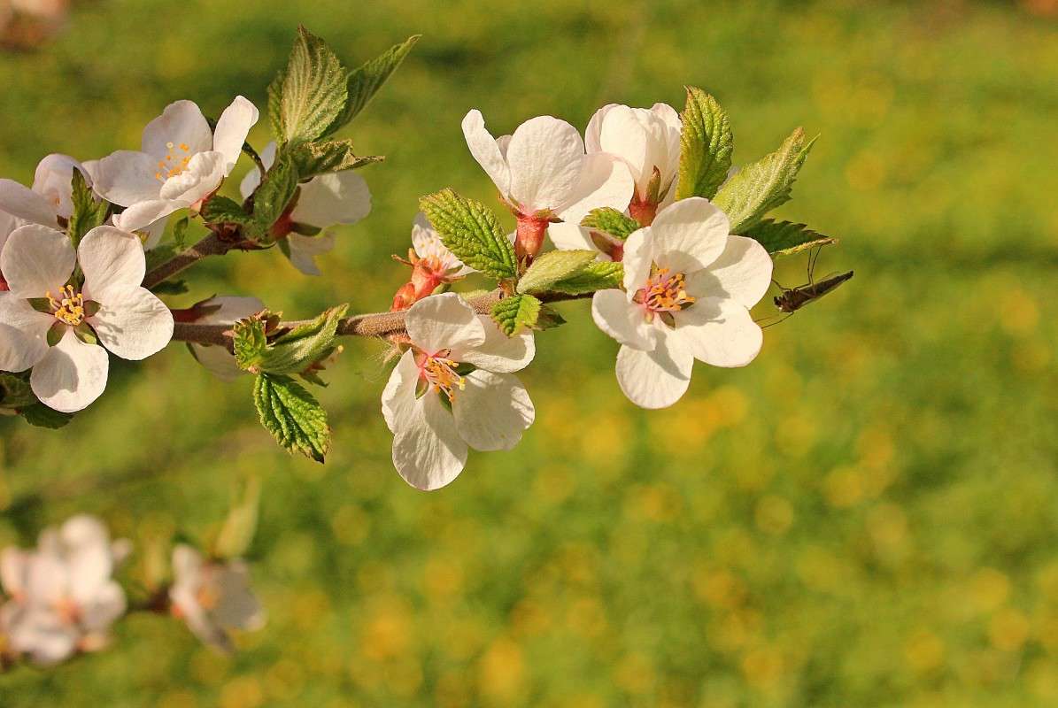 � ������� �� ����� ���������� ����� �����  �� PhotoGeek.ru #�������� ��� #������ ��� �������