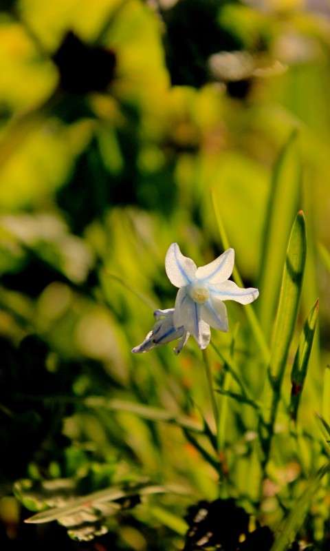 �������� ����� �����  �� PhotoGeek.ru #������ ��� ������� #����� ��������������