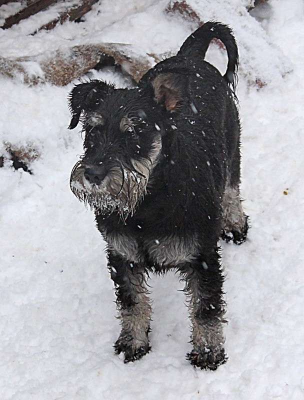 ���� ����� �����  �� PhotoGeek.ru #�������� ���