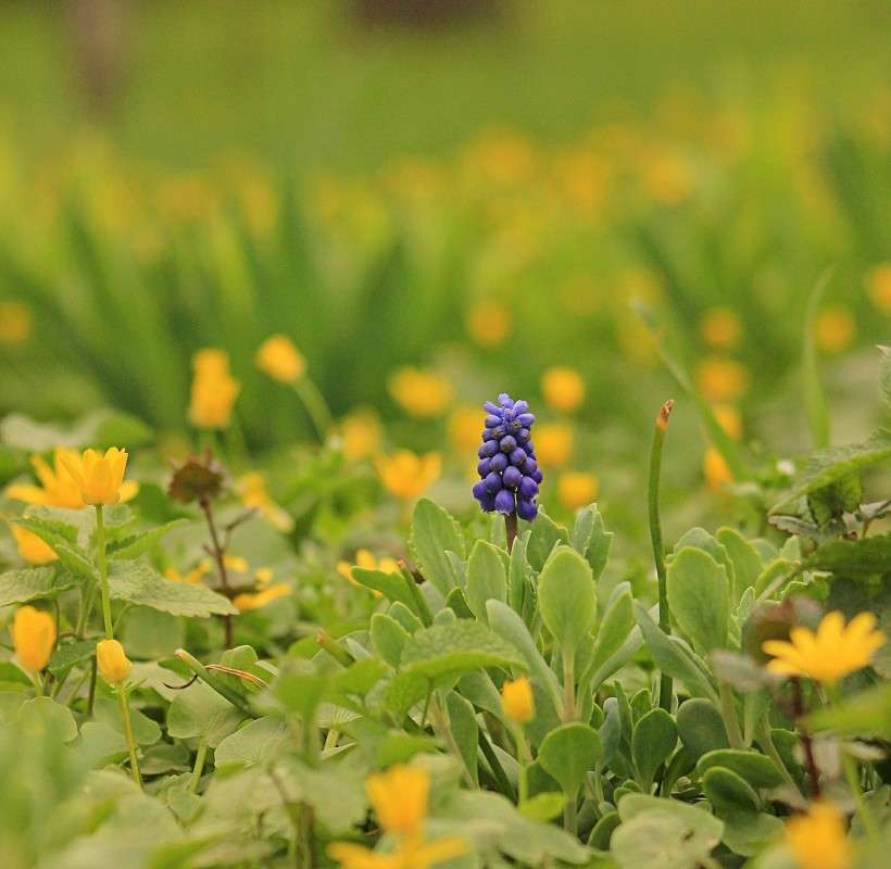 ���� � ����... ����� �����  �� PhotoGeek.ru #������ ��� ������� #����� ��������������