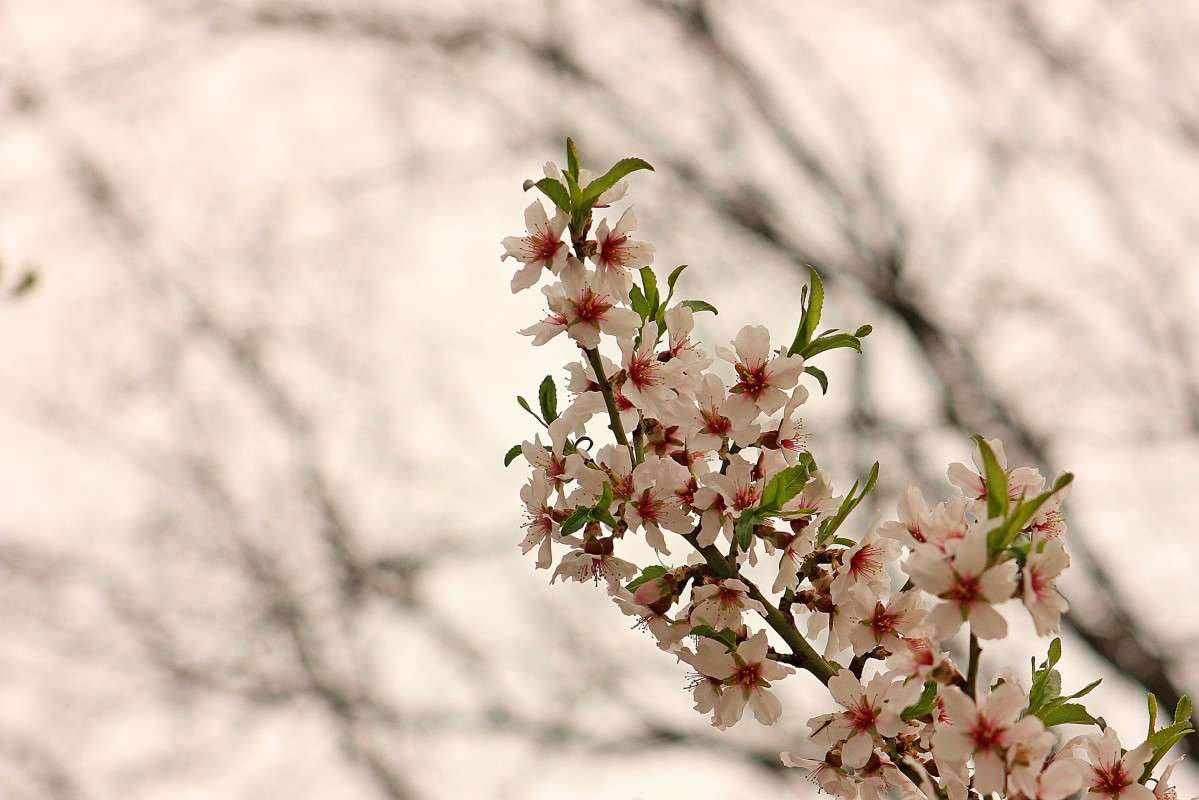 ������� ����� �����  �� PhotoGeek.ru #������ ��� ������� #����� ��������������