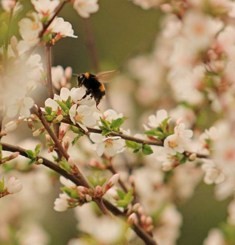 ���� ����� �����  �� PhotoGeek.ru #�������� ��� #������ ��� ������� #����� ��� ��� ��������� #����� �������������� #����� ��������