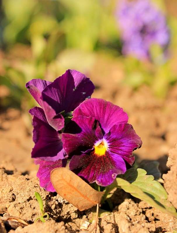 ������ ����� �����  �� PhotoGeek.ru #������ ��� ������� #����� ��������������