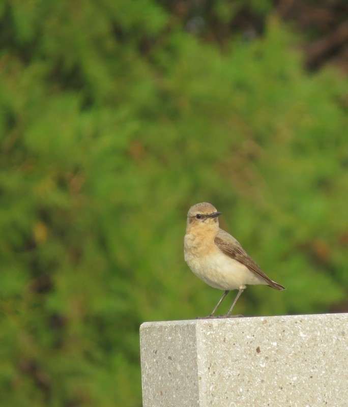 ������� ����� �����  �� PhotoGeek.ru #�������� ��� #����� ��� ��� ���������