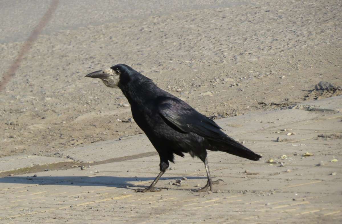 ������� ����� �����  �� PhotoGeek.ru #�������� ��� #����� ��� ��� ���������