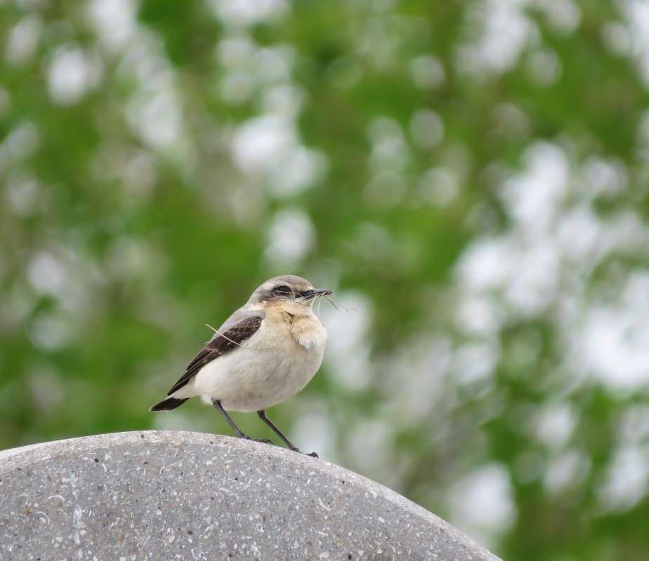 ���� ������� ����� �����  �� PhotoGeek.ru #�������� ��� #����� ��� ��� ���������