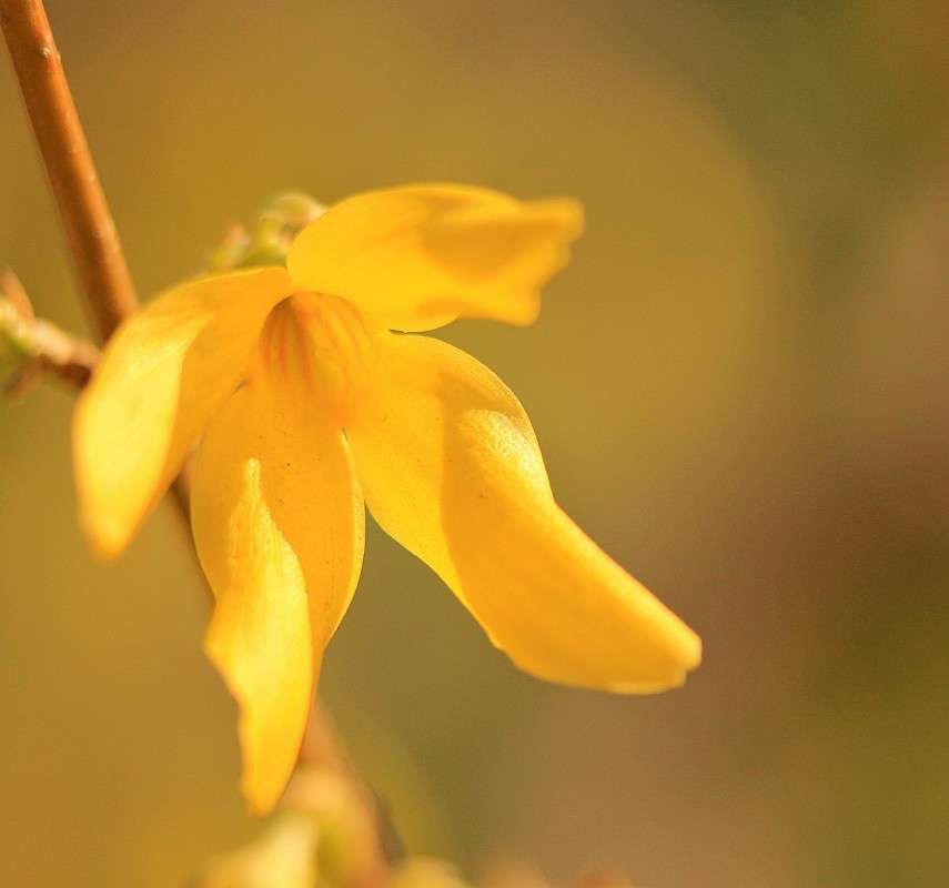 ������ ����� �����  �� PhotoGeek.ru #������ ��� ������� #����� ��������������