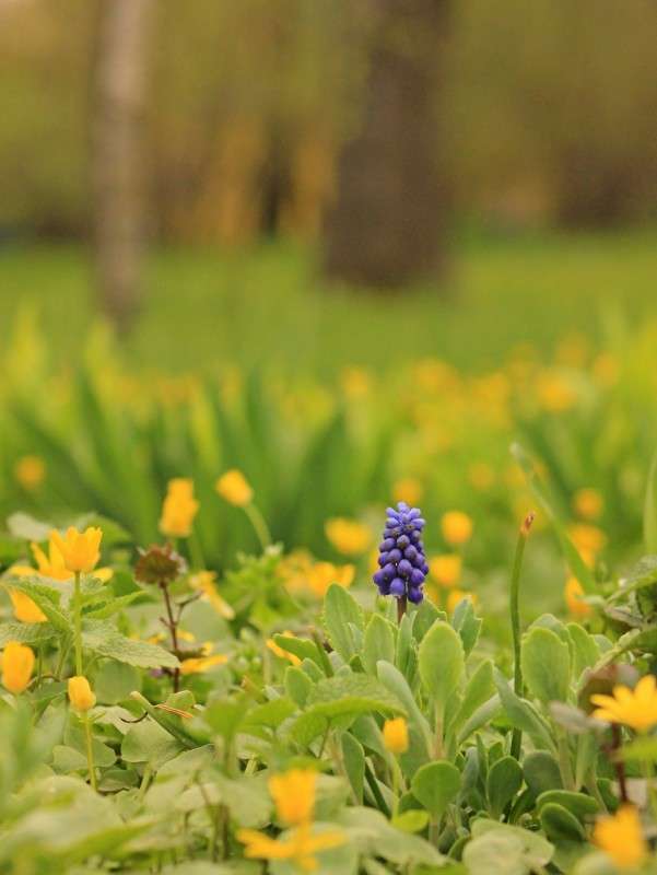 ������� ����� �����  �� PhotoGeek.ru #������ ��� ������� #����� ��������������