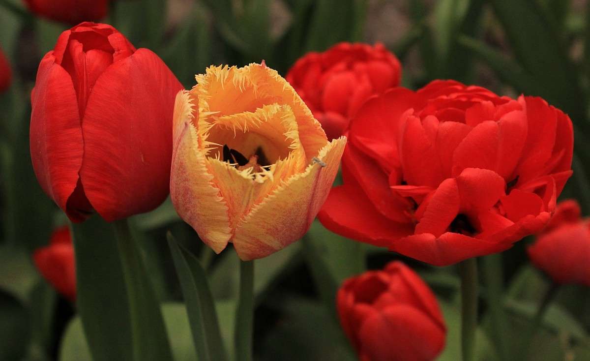 �������� ����� �����  �� PhotoGeek.ru #������ ��� ������� #����� ��������������